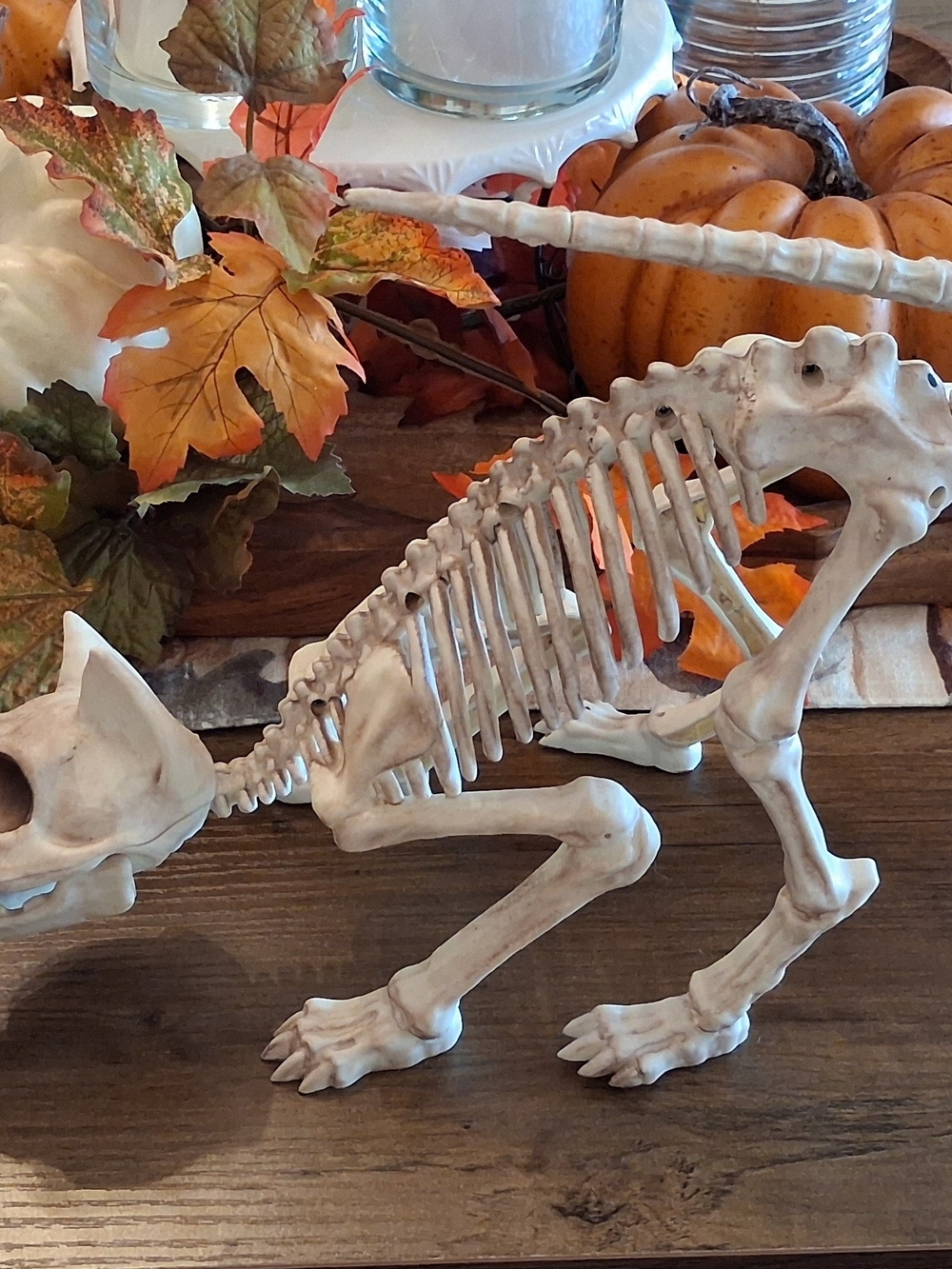 Skeleton Cat Hallpween Decoration